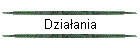 Dzia�ania
